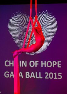 Vital funds raised at 13th Gala Ball